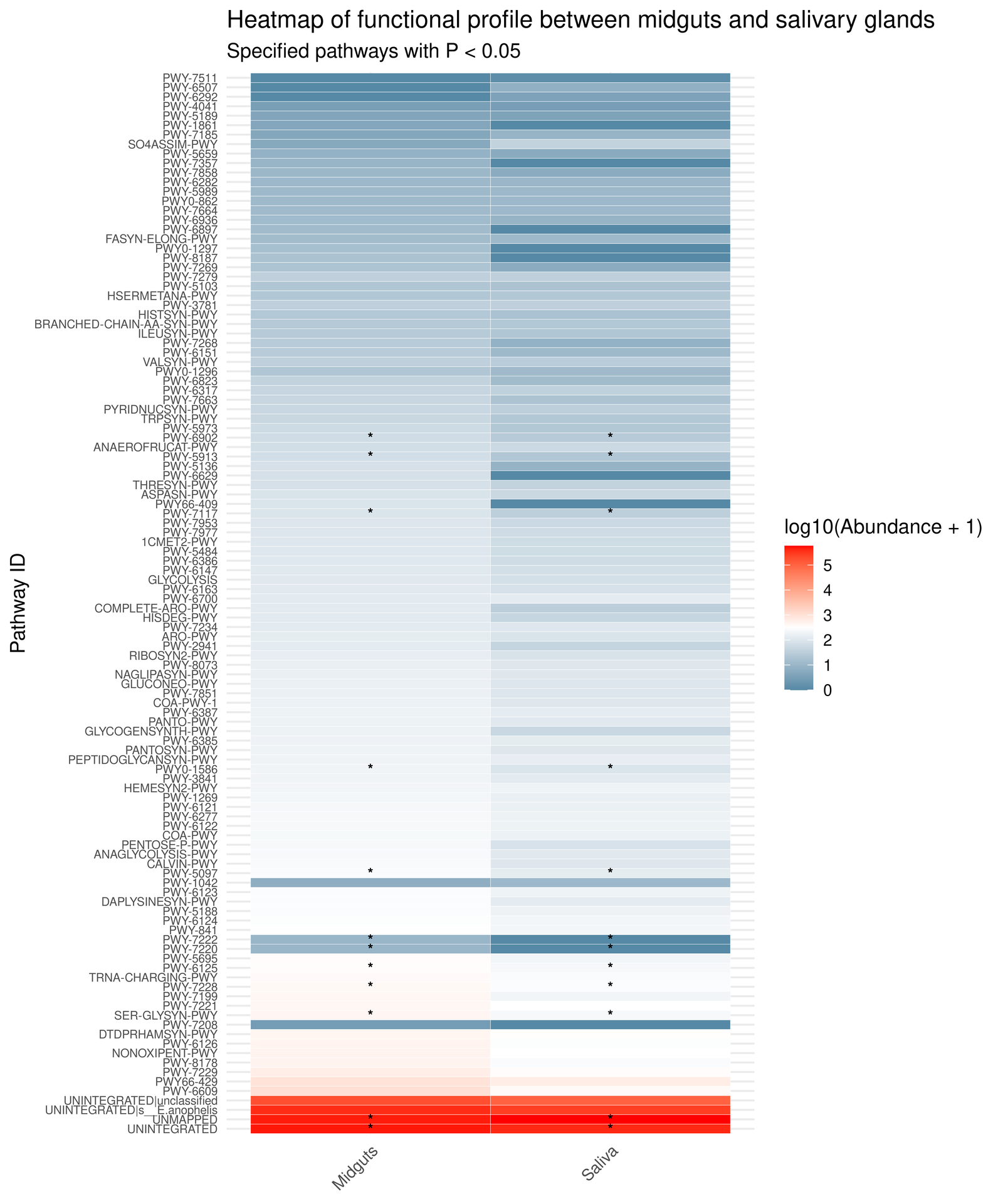 Heatmap de rutas metabólicas por muestra generado con HUMAnN3