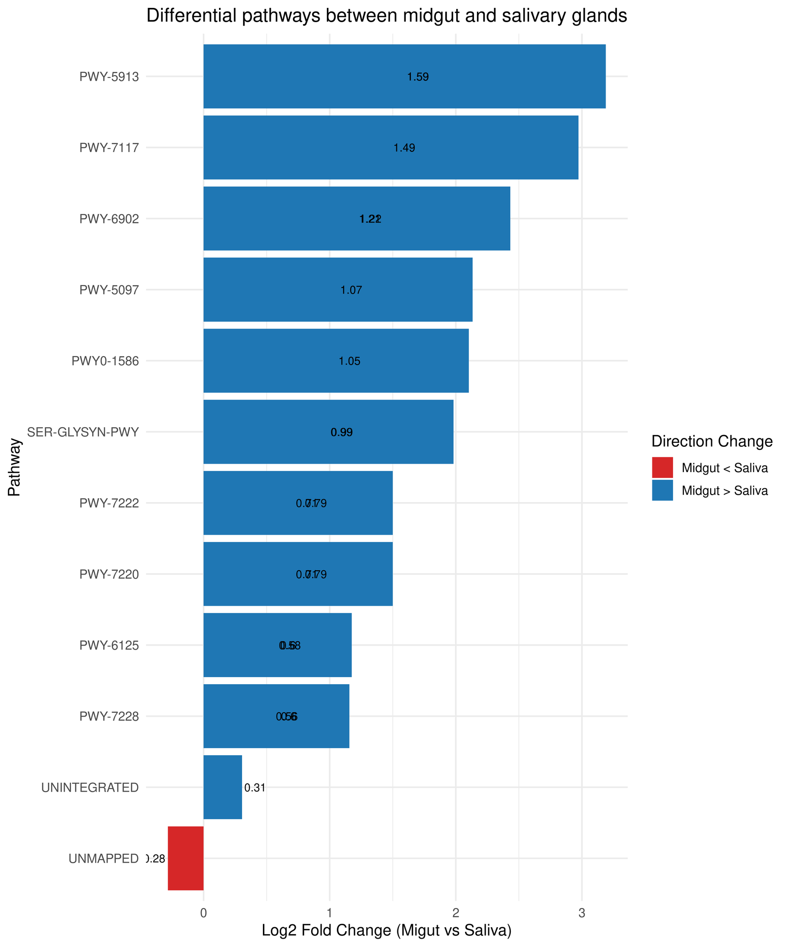 Gráfico de barras de rutas metabólicas diferenciales