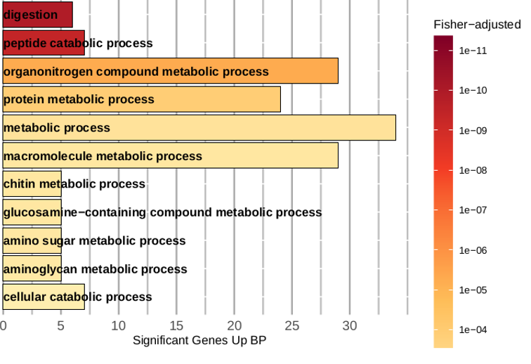 Predicción funcional de la comunidad microbiana obtenida con PICRUSt2